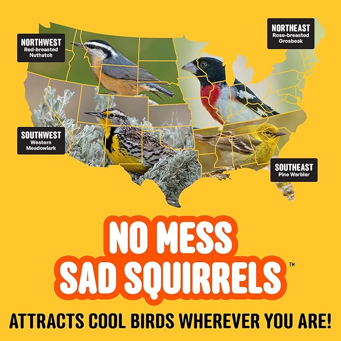 No Mess Sad Squirrels Hot Bird Seed – 10 lb. Spicy Shell-Free Blend with Peanuts, Sunflower Hearts & Chili Pepper Oil – No Waste, Squirrel-Resistant Bird Food for Outside Feeders