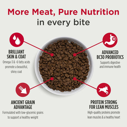 Nulo Frontrunner Ancient Grains High-Protein Dog Food, Turkey, Trout & Spelt Recipe- Natural Dry Dog Food with Probiotics, Grain-Inclusive Kibble for Adult Dogs, 5 lb Bag