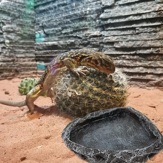 Reptile Water Dish Food Bowl, 2 Pack Reptile Feeding Dish Corner Bowl Terrarium Bowls for Bearded Dragon Lizard Frog Gecko Tortoise Hermit Crab