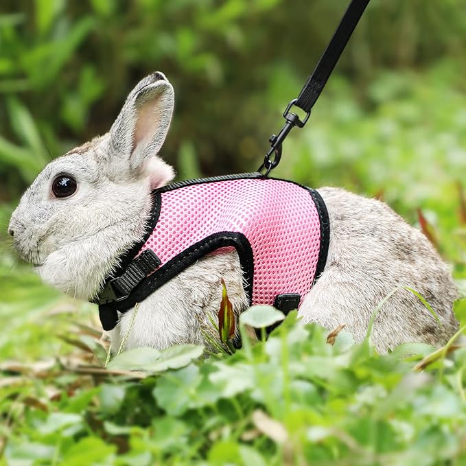 PETTOM Bunny Rabbit Harness with Stretchy Leash Cute Adjustable Buckle Breathable Mesh Vest for Kitten Small Pets Walking (Pink,XS)