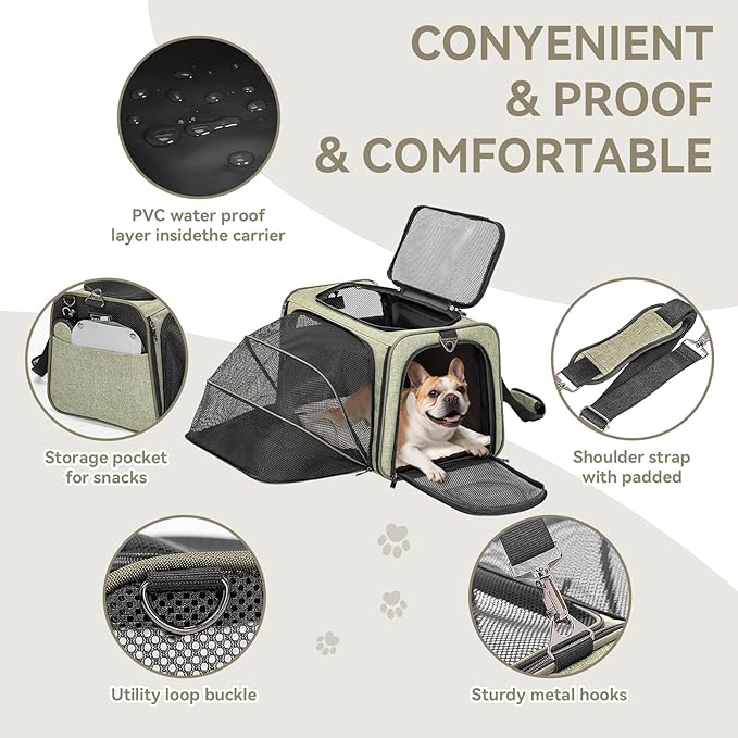 Petsfit Expandable Cat Carrier Dog Carrier, Soft-Sided Collapsible Portable Pet Carrier, 19x12x12, Green