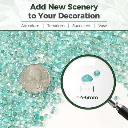 T4U Fish Tank Gravel 2 LB, Tumbled Small Rocks for Aquarium, Glass Beads for Vases, Succulent Rocks for Plants, Aquarium Gravel Decorative Pebbles for Terrarium Crafts Vase Filler, Green