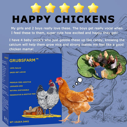 Premium Chicken Treats 10LB - Non-GMO & 85X More Calcium Than Meal Worms - Molting & Laying Supplement - BSF Larvae Treats for Layer Hens, Ducks Wild Birds