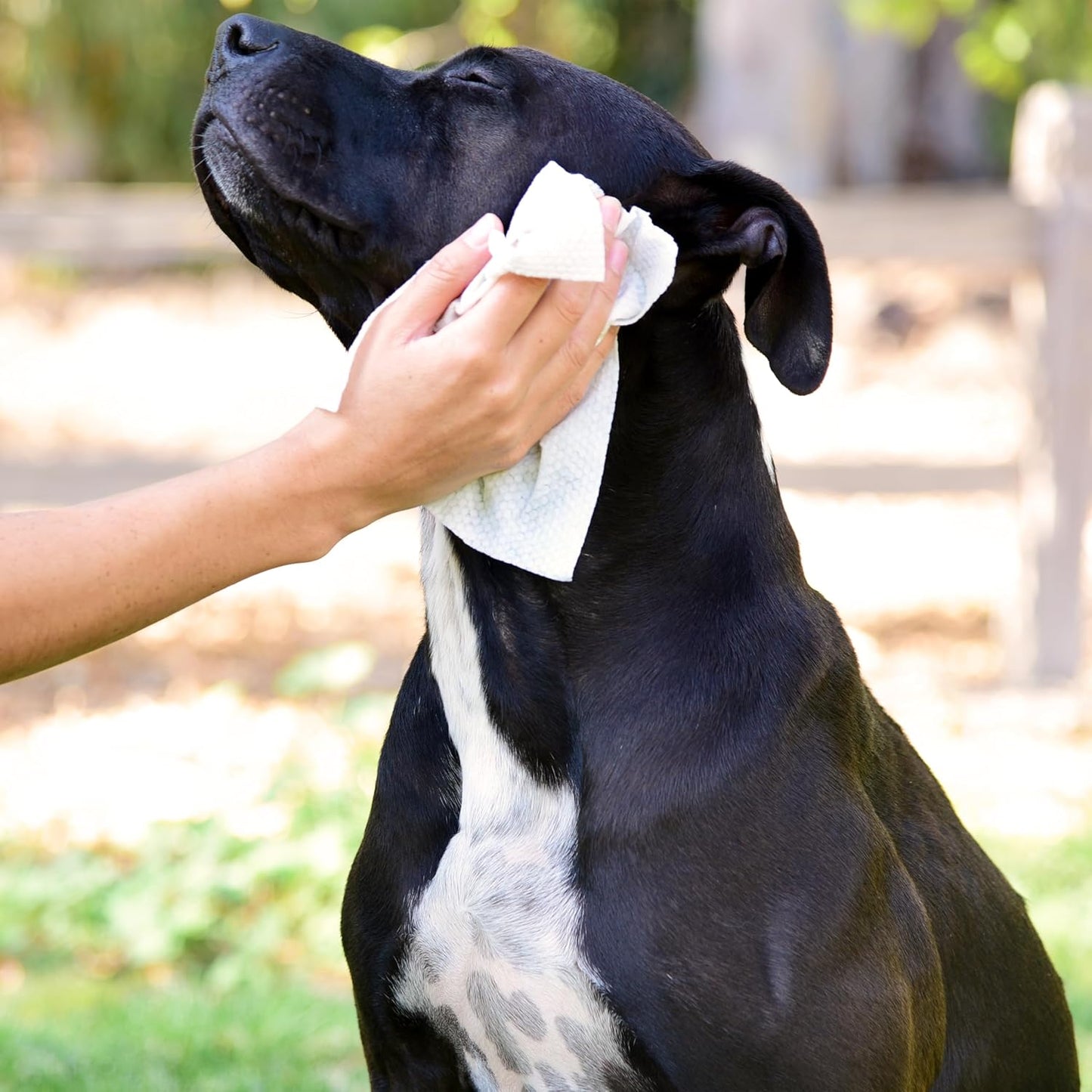 StripHair Bamboo Cloth Wipes Extra Large Reusable for Dog Pet Horse Coat Grooming and All Purpose - 2 Pack Combo: 2 Size Cloths: 12x12in and 8x8in