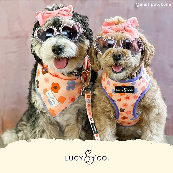 Lucy & Co. Purple with Coral Floral Wave, Cute Reversible Dog Harness Walking Halter - Best Designer Pet Harnesses for XS - XL Dogs - Padded Adjustable Vest for Easy Walking (X-Large)
