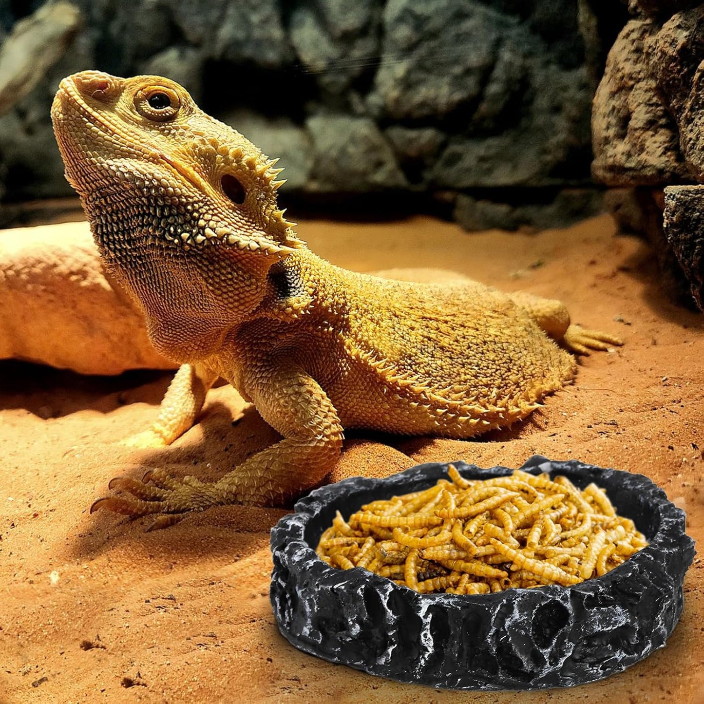 Frcctre 4 Pack Reptile Food Dish with Feeding Tongs, Resin Reptile Water Dish Food Bowl Feeding Terrarium Bowl for Leopard Gecko Lizard Tortoise Frog Bearded Dragon Chameleon