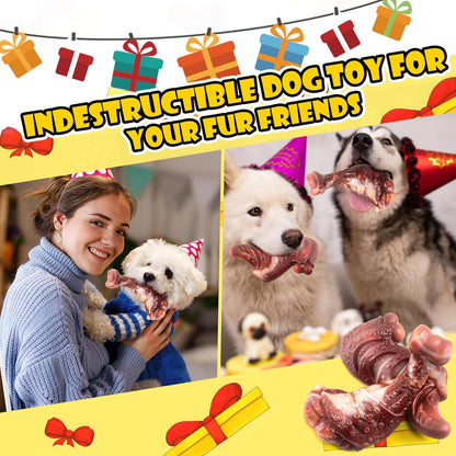 Dog Chew Toys for Aggressive Chewers: 2 Pack Indestructible &ToughToys for Aggressive Chewers-Dog Bones Nylon Toys for Small, Medium, Large Breeds-Super Chewer Toys to Keep Them Busy