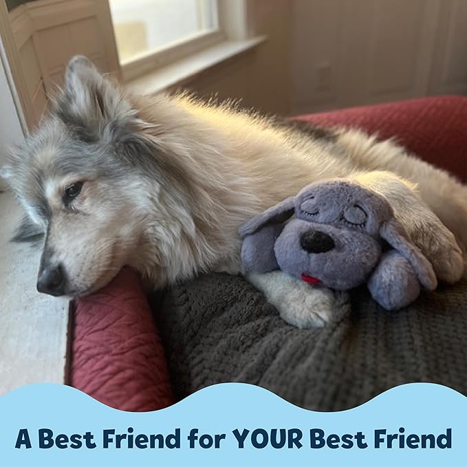 Original Snuggle Puppy Toys - Heartbeat Puppy for Dogs - Pet Anxiety Relief and Calming Aid - Comfort Dog Toys for Behavioral Training
