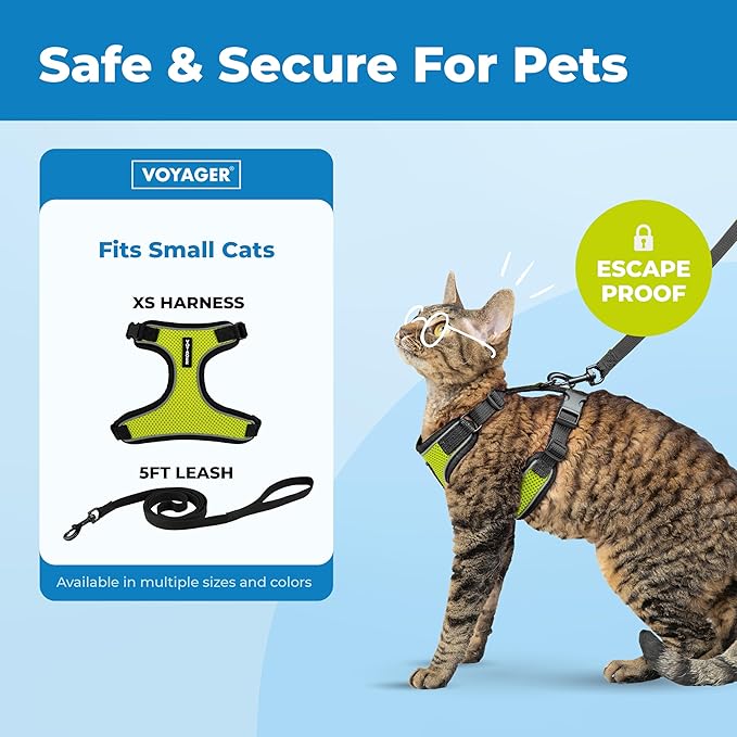 Voyager Escape Proof Cat Harness and Leash Set with Reflective Stitching, Neoprene Handle 5ft - Supports Small, Medium and Large Cats, Kittens for Walking by Best Pet Supplies - Black Trim-Lime, XXS