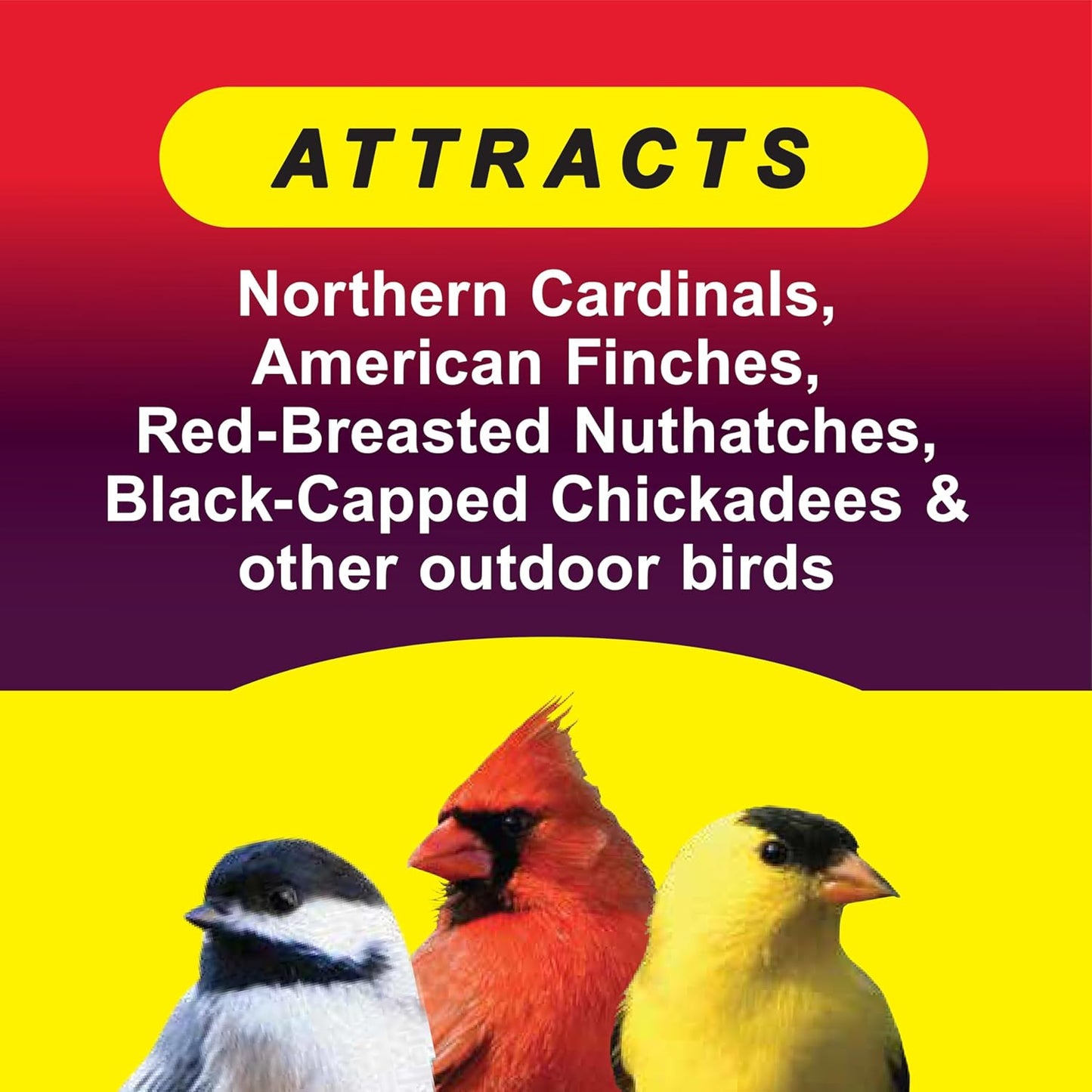 Wild Delight Advanced Formula Squirrel Away Zero Waste Wild Bird Food 5lbs