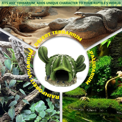 Cactus Reptile Hide Caves Lizard Bearded Dragon Leopard Gecko Hideout Terrarium Tank Accessories Turtle Snake Décor Amphibian Habitat Tortoise Personalized Decoration