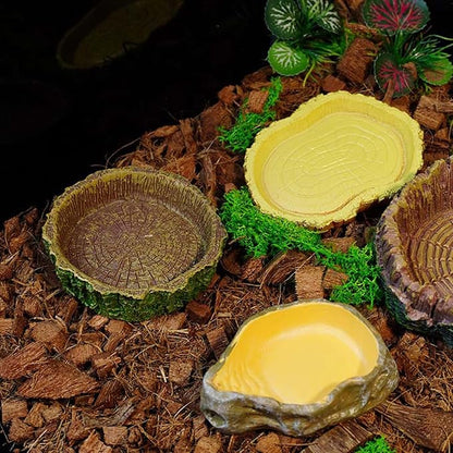 2 Pack Reptile Food and Water Bowls, Resin Simulation Feeding Dishes for Lizards Snakes Tortoises, Terrarium Decorative Landscape Bowls