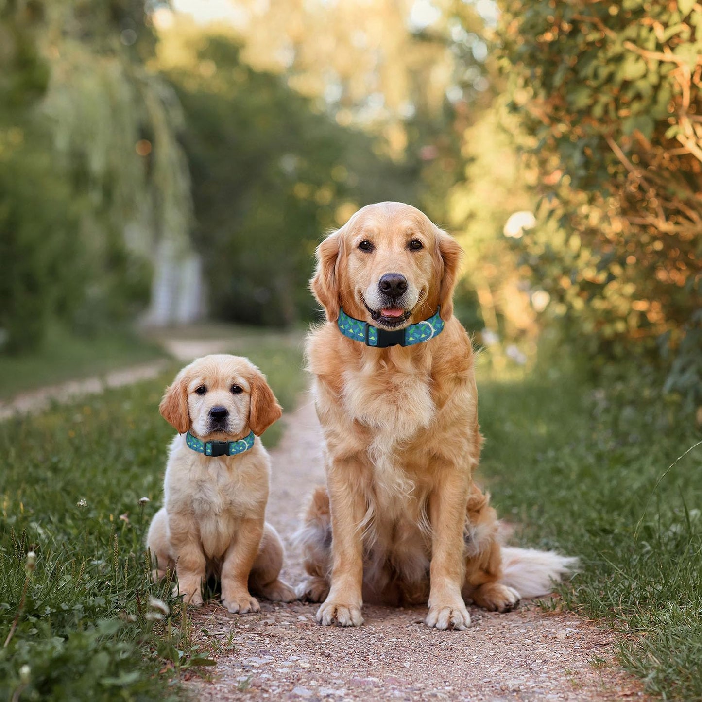 Green Dinosaur Blue Dog Collar Pet Neck Strap for Small Medium Large Dogs Soft Adjustable Buckle