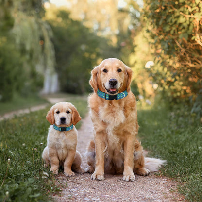 Green Dinosaur Blue Dog Collar Pet Neck Strap for Small Medium Large Dogs Soft Adjustable Buckle