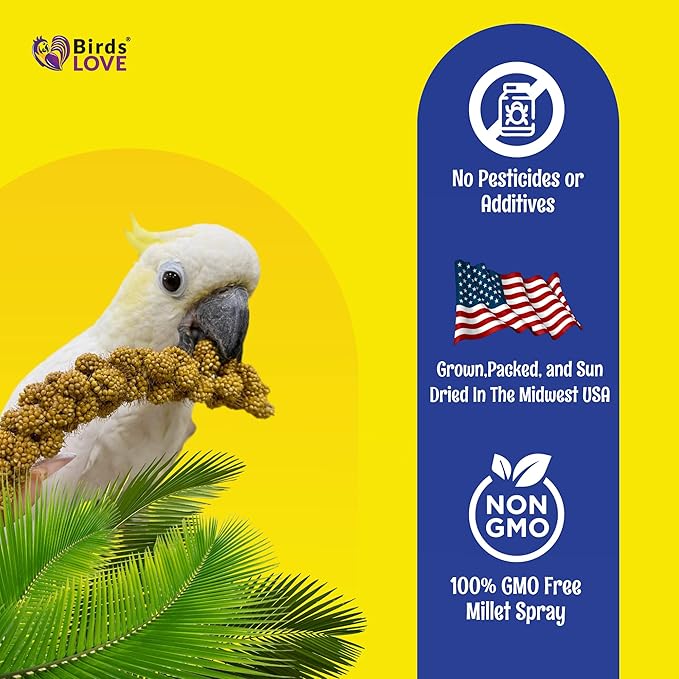 Birds LOVE Economy Special Spray Millet - GMO-Free (No Stems Only Edible Tops) for Birds Cockatiel, Lovebird, Parakeet, Finch, Canary All Parrots Healthy Treat 7oz - Pack of 4