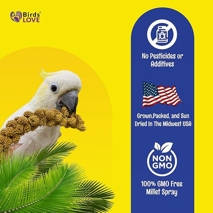 Birds LOVE Economy Special Spray Millet - GMO-Free (No Stems Only Edible Tops) for Birds Cockatiel, Lovebird, Parakeet, Finch, Canary All Parrots Healthy Treat 7oz - Pack of 4
