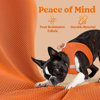rabbitgoo Small Dog Harness, Step-in Soft Mesh Puppy Vest with Safety Buckle, Breathable Reflective Pet Harness for Extra Small Dogs, Orange XXS