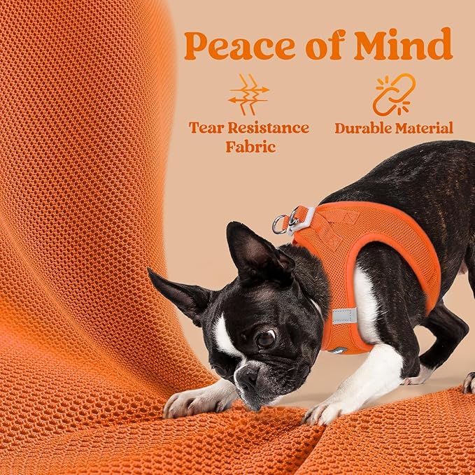 rabbitgoo Small Dog Harness, Step-in Soft Mesh Puppy Vest with Safety Buckle, Breathable Reflective Pet Harness for Extra Small Dogs, Orange XXXS