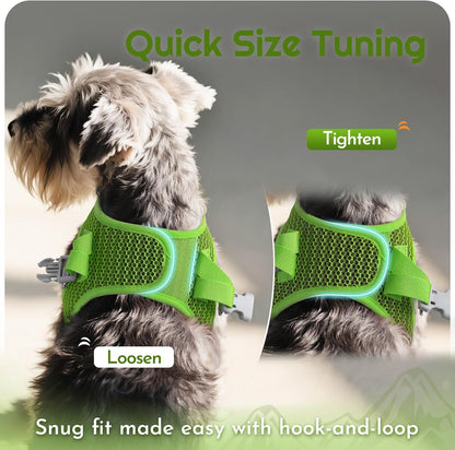 Eagloo Small Dog Harness and Leash Set, Step in Puppy Vest with Breathable Soft Mesh, Walking Reflective Pet Harness for Small Dogs, Green, XS