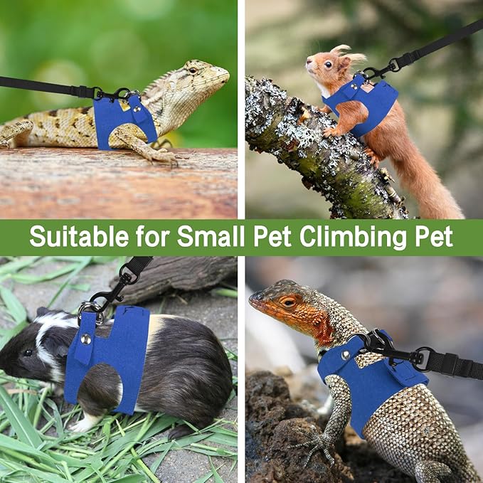 Bearded Dragon Harness Leash Set 3 Size Adjustable Lizards Training Walking Leather Vest Escape-Proof Traction Rope for Outdoor Small Reptiles Animal Squirrels (Blue)