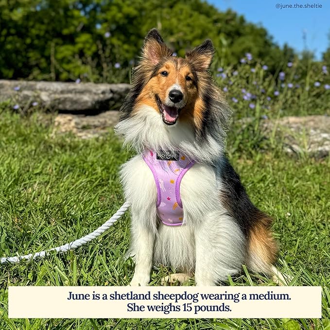 Lucy & Co. Cute Reversible Dog Harness Walking Halter - Best Designer Pet Harnesses for XS - XL Dogs - Padded Adjustable Vest for Easy Walking (Medium, Unicorn Magic - Purple & Pink Unicorns)