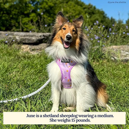 Lucy & Co. Cute Reversible Dog Harness Walking Halter - Best Designer Pet Harnesses for XS - XL Dogs - Padded Adjustable Vest for Easy Walking (Medium, Unicorn Magic - Purple & Pink Unicorns)
