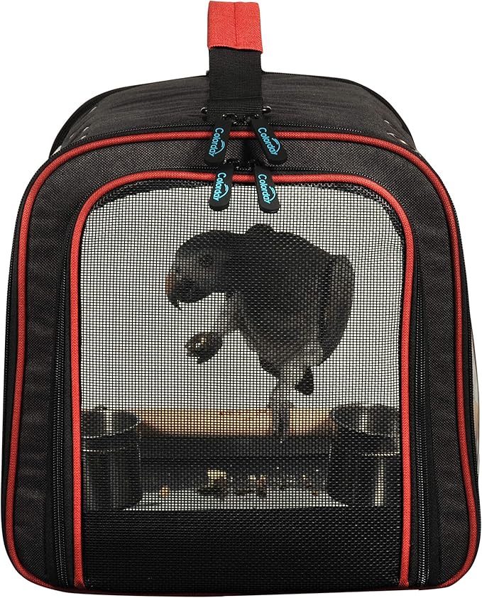 Colorday Lightweight Bird Carrier for Travelers, Bird Travel Cage with Parrot Feeder Cups & Standing Perch and Tracy (Large 19 x 12 x 13 inch, Black)