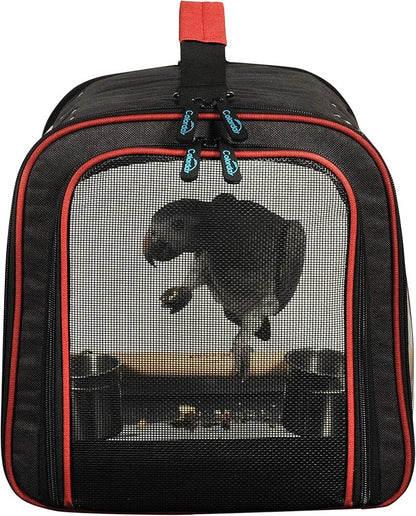 Colorday Lightweight Bird Carrier for Travelers, Bird Travel Cage with Parrot Feeder Cups & Standing Perch and Tracy (Large 19 x 12 x 13 inch, Black)
