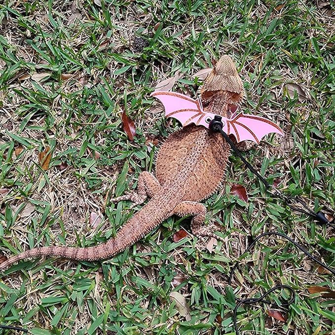 Adjustable Lizard Harness and Leash Set with Wings 3 Pack S M L Soft Leather Reptile Costume Accessories for Bearded Dragon Chameleon Guinea Pig Small Animals Orange