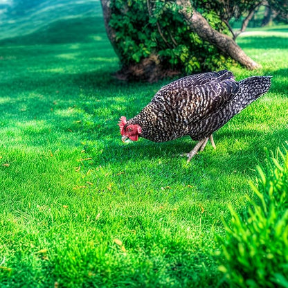 3.5oz Freeze-Dried Mealworms – All Natural High Protein Pet Food for Birds, Chickens, and Reptiles