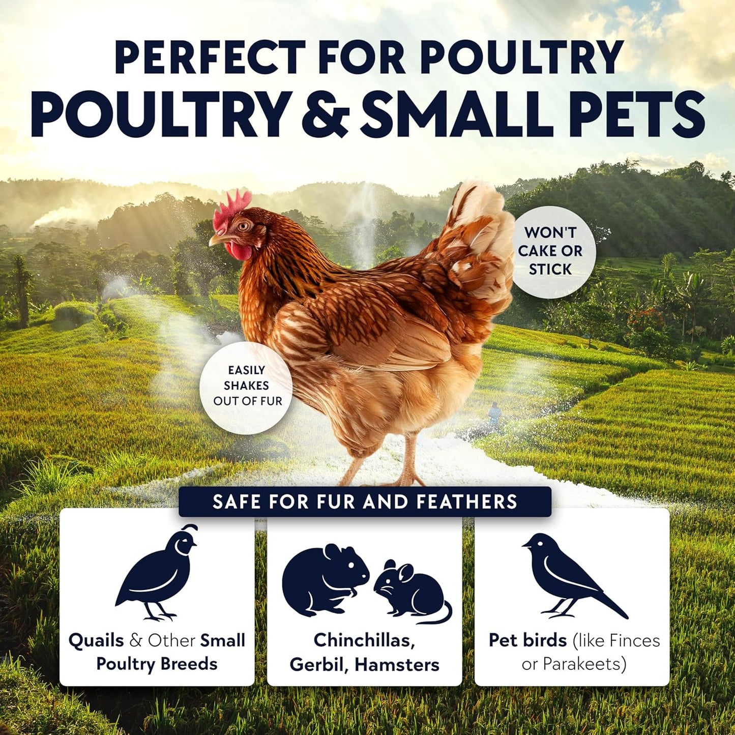 5.5lb Chickie-Whiz Chicken Dust Bath - Made in USA - All Natural Volcanic Ash Dust Bath for Chickens - Healthier Eggs & Feathers - Chicken Coop Accessories for Farms by Billy Buckskin Co.