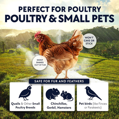 5.5lb Chickie-Whiz Chicken Dust Bath - Made in USA - All Natural Volcanic Ash Dust Bath for Chickens - Healthier Eggs & Feathers - Chicken Coop Accessories for Farms by Billy Buckskin Co.