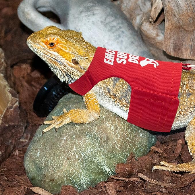Bearded Dragon Harness and Leash Set - Escape Proof Adjustable Lizard Reptiles Harness with 5 ft Short Leash for Walking Outdoor