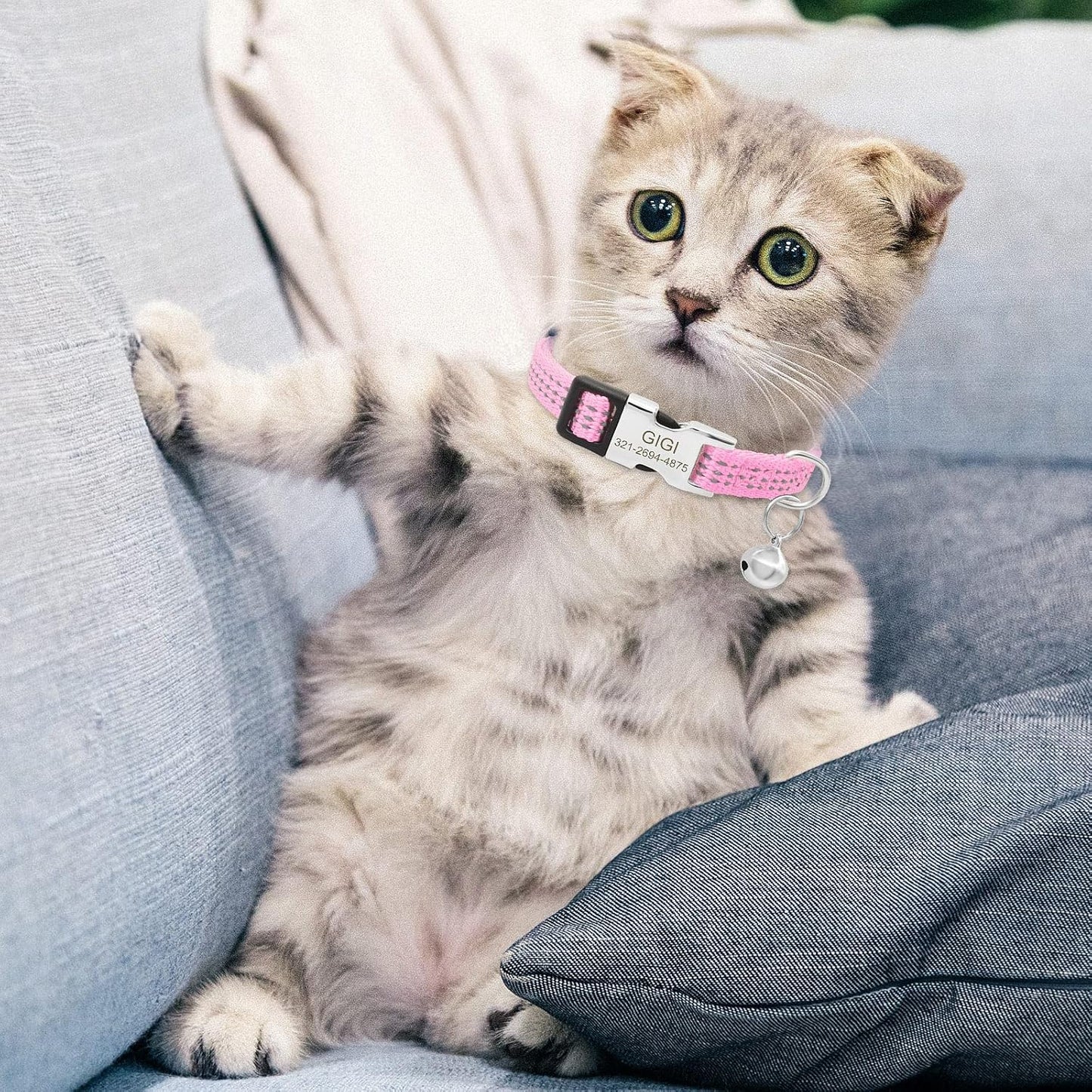 Personalized Reflective Nylon Cat Collar with Name Phone,Custom Engraved Buckle Cat Collar with Bell,Adjustable for Small Dogs Puppy Kitten (Pink,fit 7.5''-12.0'')