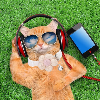 Breakaway Cat Collars with Bells, MUZIEBA Kitten Collar for Girl Boy Adjustable Safety Kitty Collars for Cats Puppy and Small Pets (White)