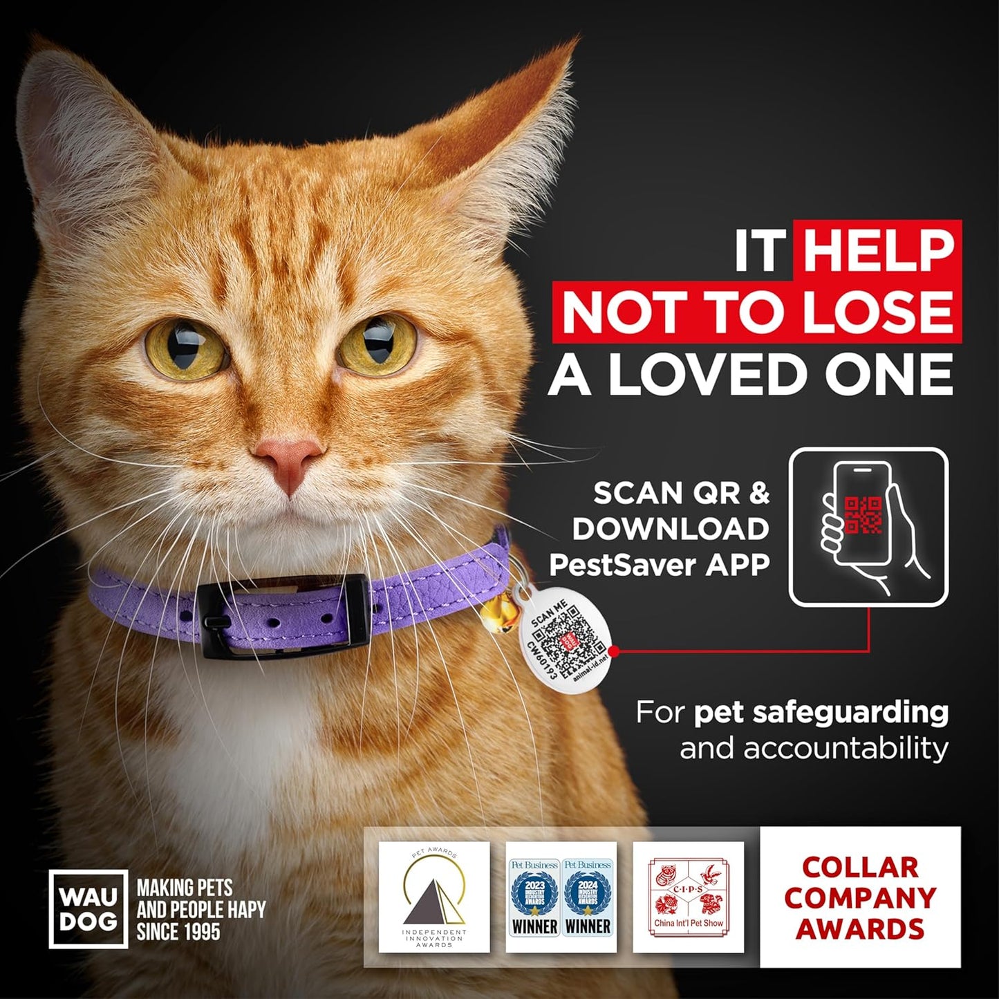 Leather Cat Collar with Bell and Safety Elastic Strap Breakaway Alternative for Small & Large Kittens, Stylish Pet Leather Collar for Boy, Girl Cats with Metal Buckle & QR ID Tag (Purple)