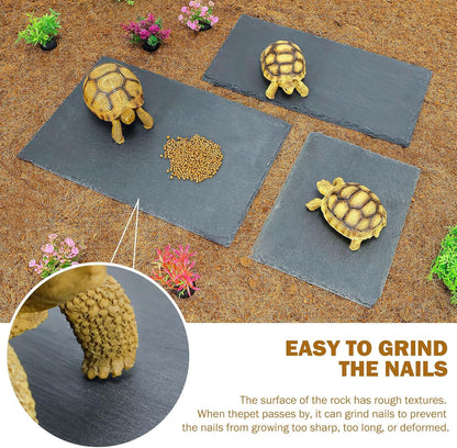Tortoise Habitat basking Rock Feeding Dish Bearded Dragon/Lizard Original Rock Slab,Easy to Grind The Nails,with Non-Slip mats,Natural Food Bowl,Moisturizing Effect(Large- Size)