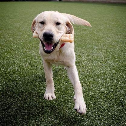 Nylabone Textured Knuckle Bone Power Chew Toy for Dogs, Durable & Tough Dog Toys for Aggressive Chewers, Original Flavor, X-Large - Over 50 Ibs, 1 Count