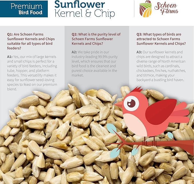 Schoen Farms Sunflower Kernels & Chips – 6 lb Bag – Hulled Sunflower Hearts Bird Seed – Clean, Wild Bird Food for Finches, Jays & Chickadees