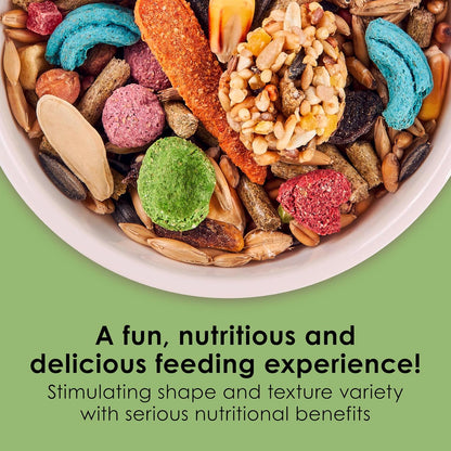 Kaytee Fiesta Hamster and Gerbil Food Flavor Medley 15 Pounds