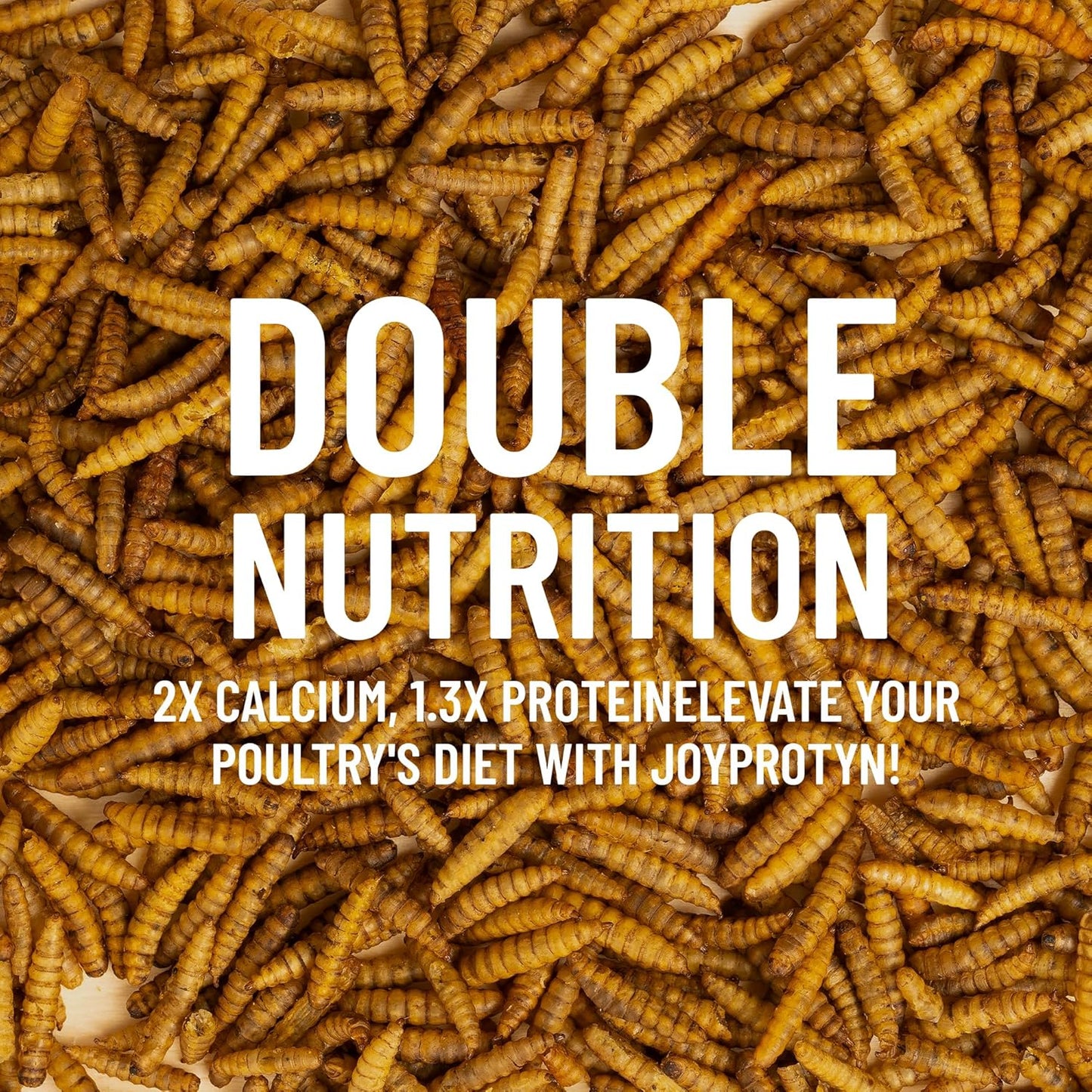 2LB Dried Black Soldier Fly Larvae for Chicken– 85X More Calcium Grubs Than Mealworms for Strong Eggshells & Healthy Growth - High Proteinfor Chickens, Birds, Ducks, Geese & Pets