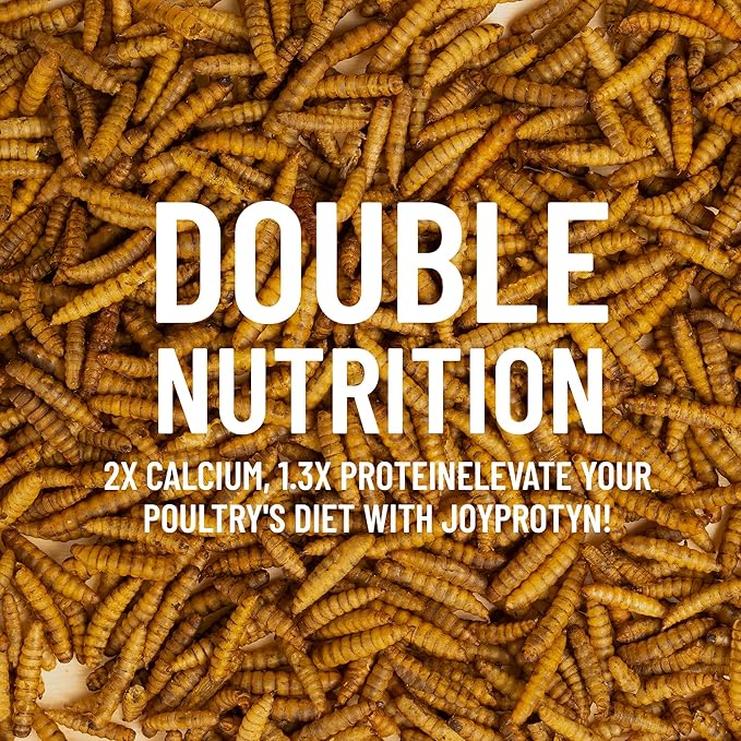10LB Non-GMO Dried Black Soldier Fly Larvae for Chicken – 85X More Calcium Grubs Than Mealworms for Strong Eggshells & Healthy Growth - High Protein for Chickens, Birds, Ducks, Geese & Pets