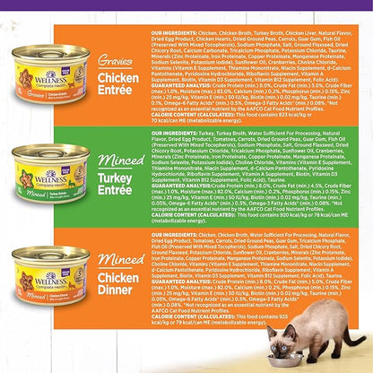 Wellness Complete Health Gravy and Minced Adult Wet Cat Food, Natural, Protein-Rich, Grain-Free, 3 Ounce, 12 Pack, (Chicken & Turkey Lovers Variety Pack)
