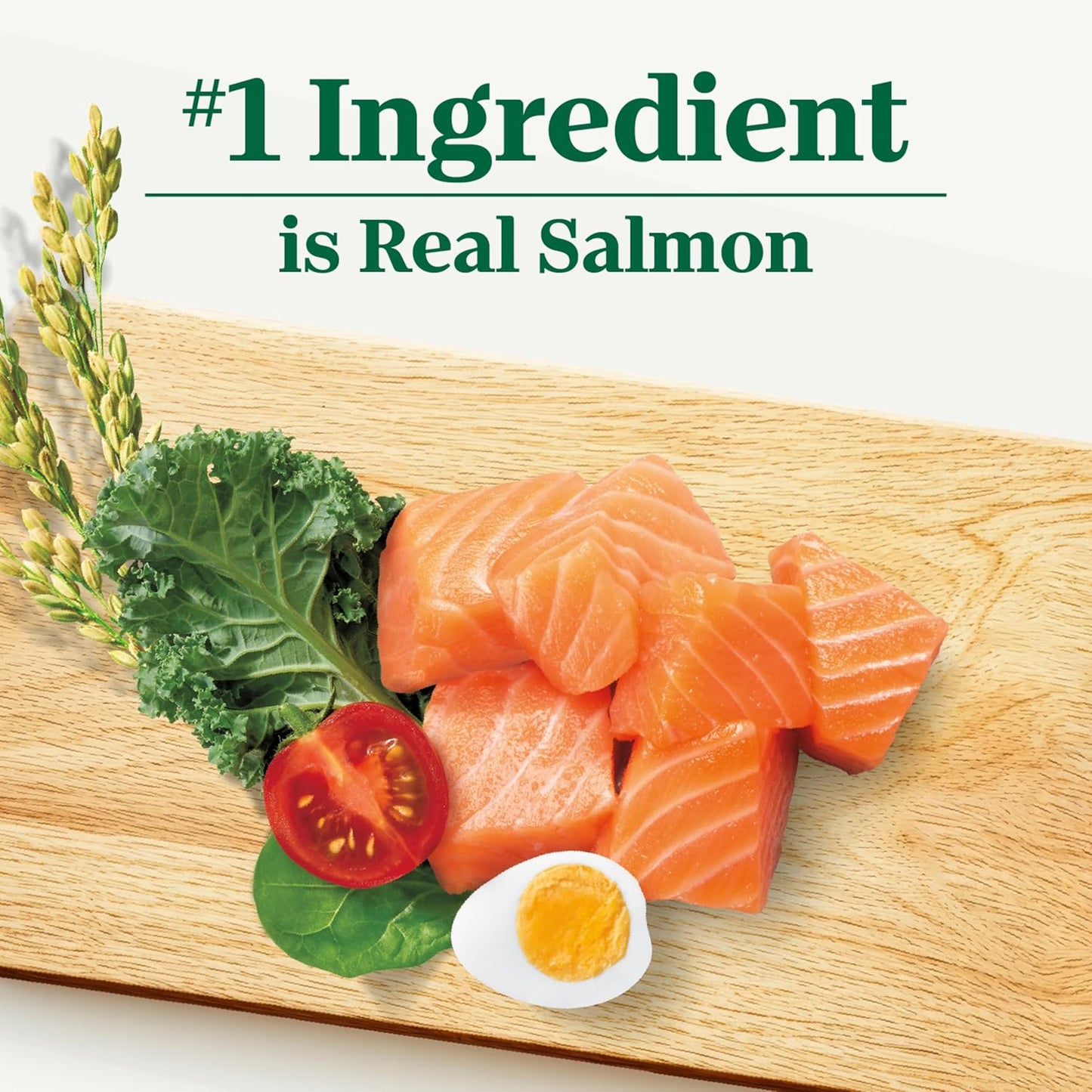 Nutro Natural Choice Salmon & Brown Rice Adult Dry Dog Food Recipe, 28 lb. Bag