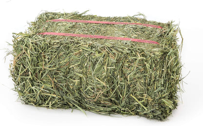 Grandpa's Best Orchard Grass Bale, 5 lbs,green