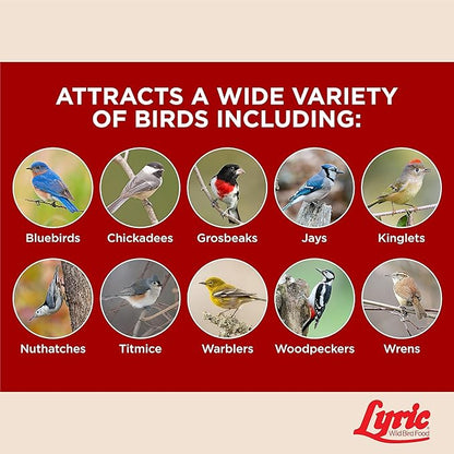 Lyric Fruit & Nut Wild Bird Seed Suet Cakes for Wild Birds, 12 oz. (12 Pack)