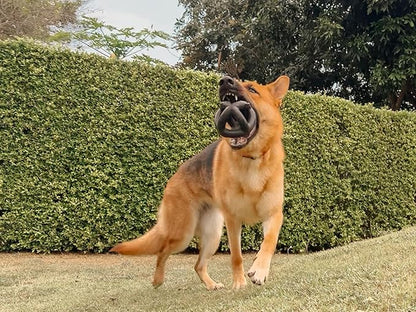 Tuff Pupper SuperChewy Extremely Tough Cage Ball for Dogs | Durable Heavy Duty Natural Rubber | Tough Chew Toy for Strong Chewers | Heavy Duty for Medium Large Breed | Strong but NOT Indestructible