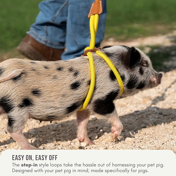 Mini Pig Harness & Leash - Fully Adjustable, Infinity Style Lead, Step-in Harness, Potbelly Supplies, All-in-One - Ideal for Small & Large Pet Pigs (Mauve Pink, Large)