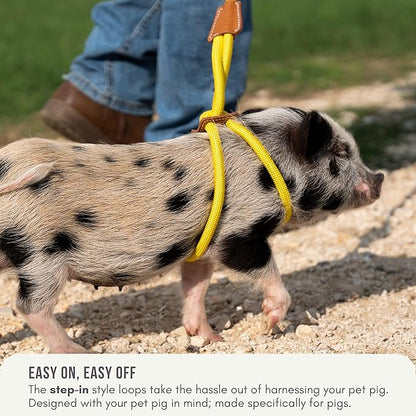 Mini Pig Harness & Leash - Fully Adjustable, Infinity Style Lead, Step-in Harness, Potbelly Supplies, All-in-One - Ideal for Small & Large Pet Pigs (Mauve Pink, Large)