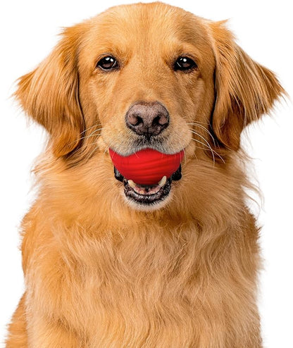 Playology Dog Toys | Dual Layer Ball Durable Chew Toy for Aggressive Chewers | Jumbo Beef Scented Toy - Easy to Clean and Made from Non Toxic Materials